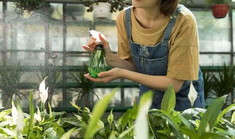 Gardening