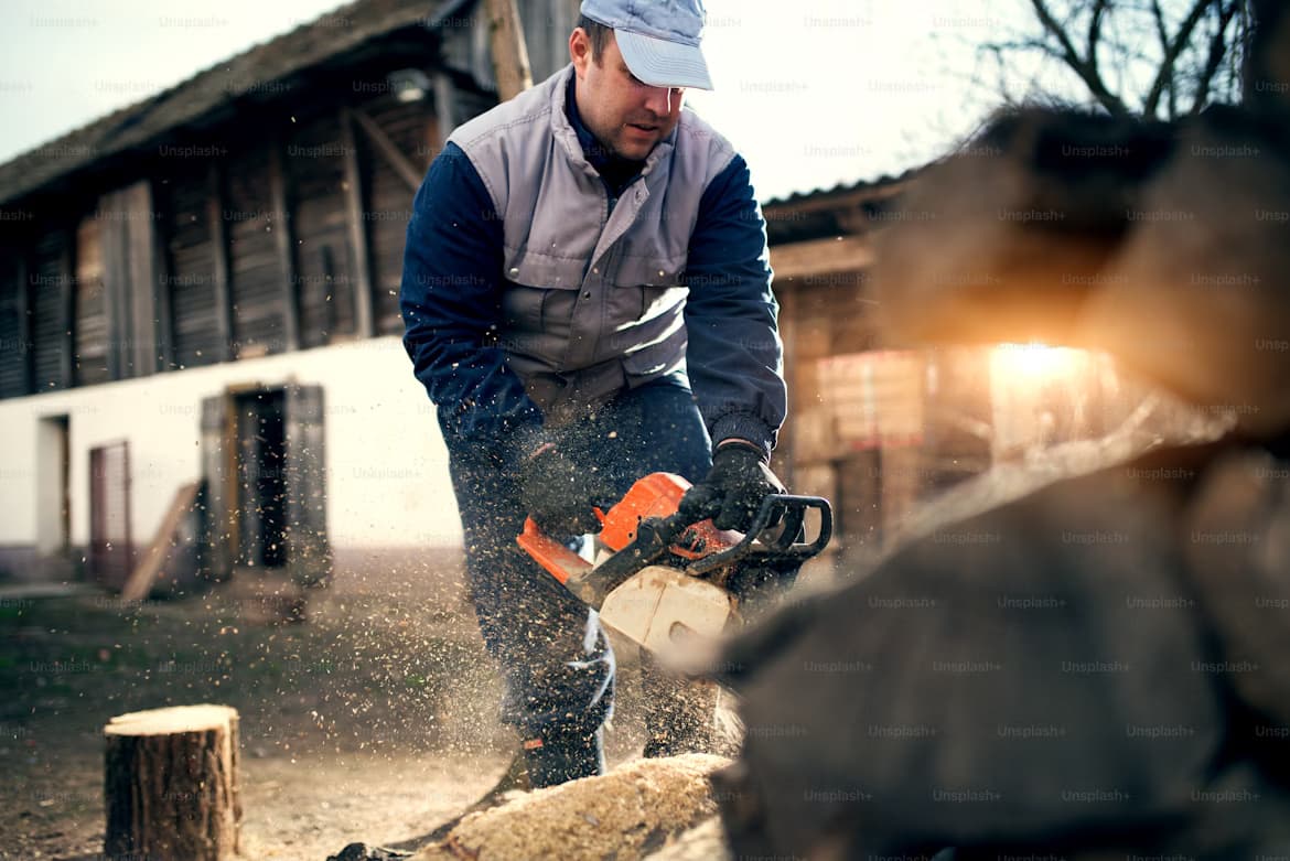 Lawn Care and Maintenance